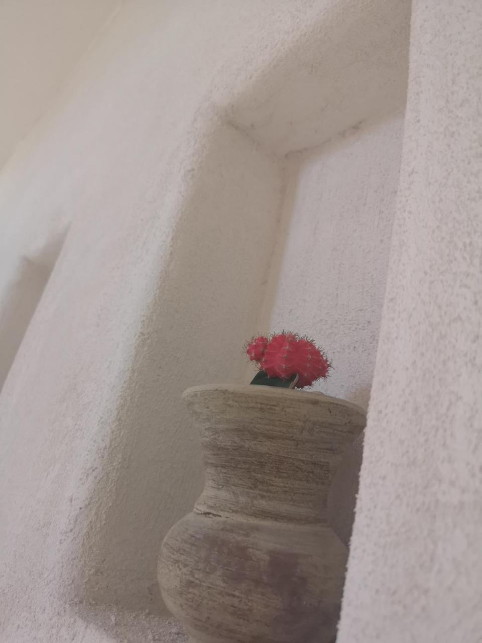 B&B Villa Rosalia 普罗奇达 外观 照片
