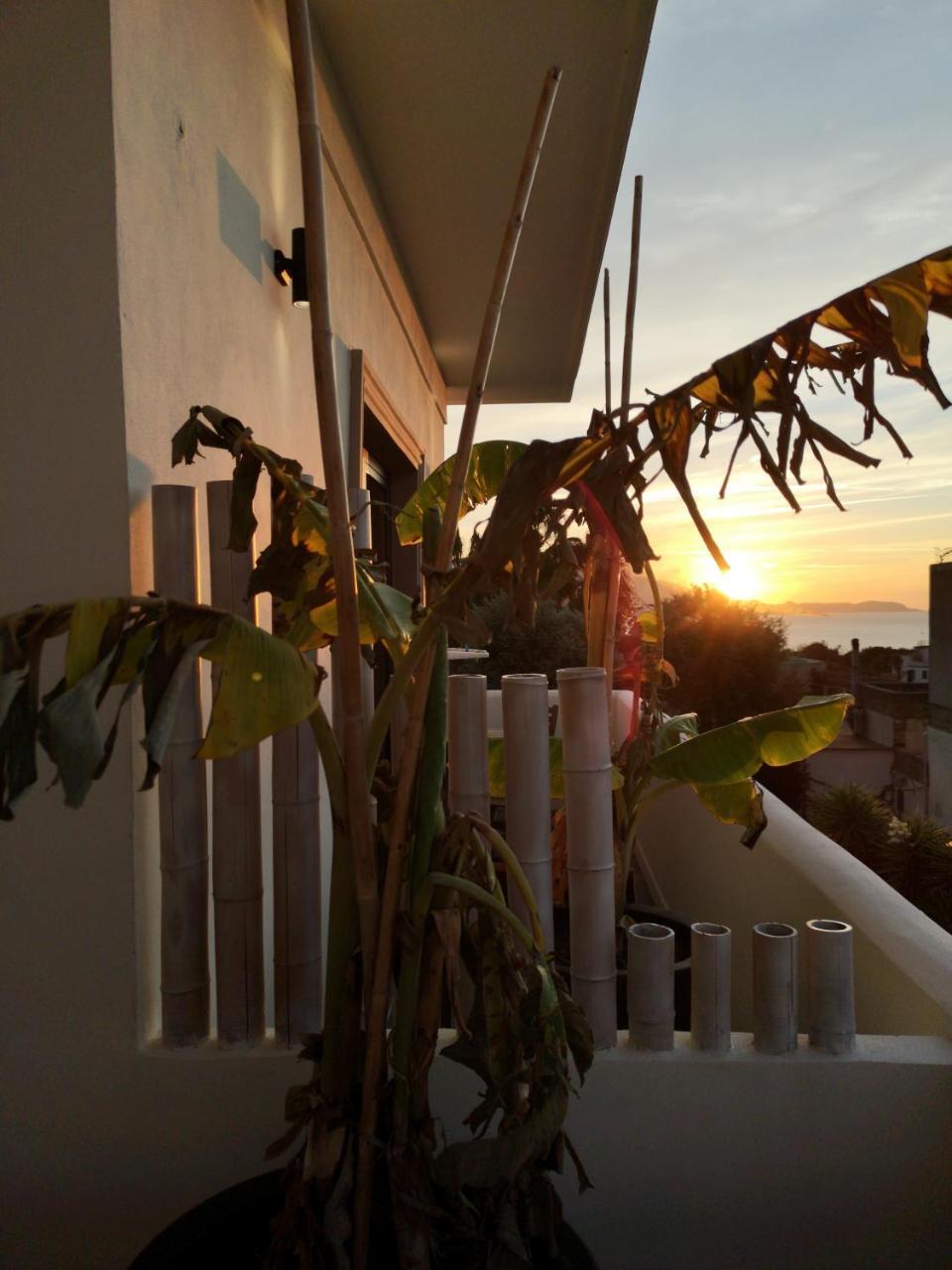 B&B Villa Rosalia 普罗奇达 外观 照片