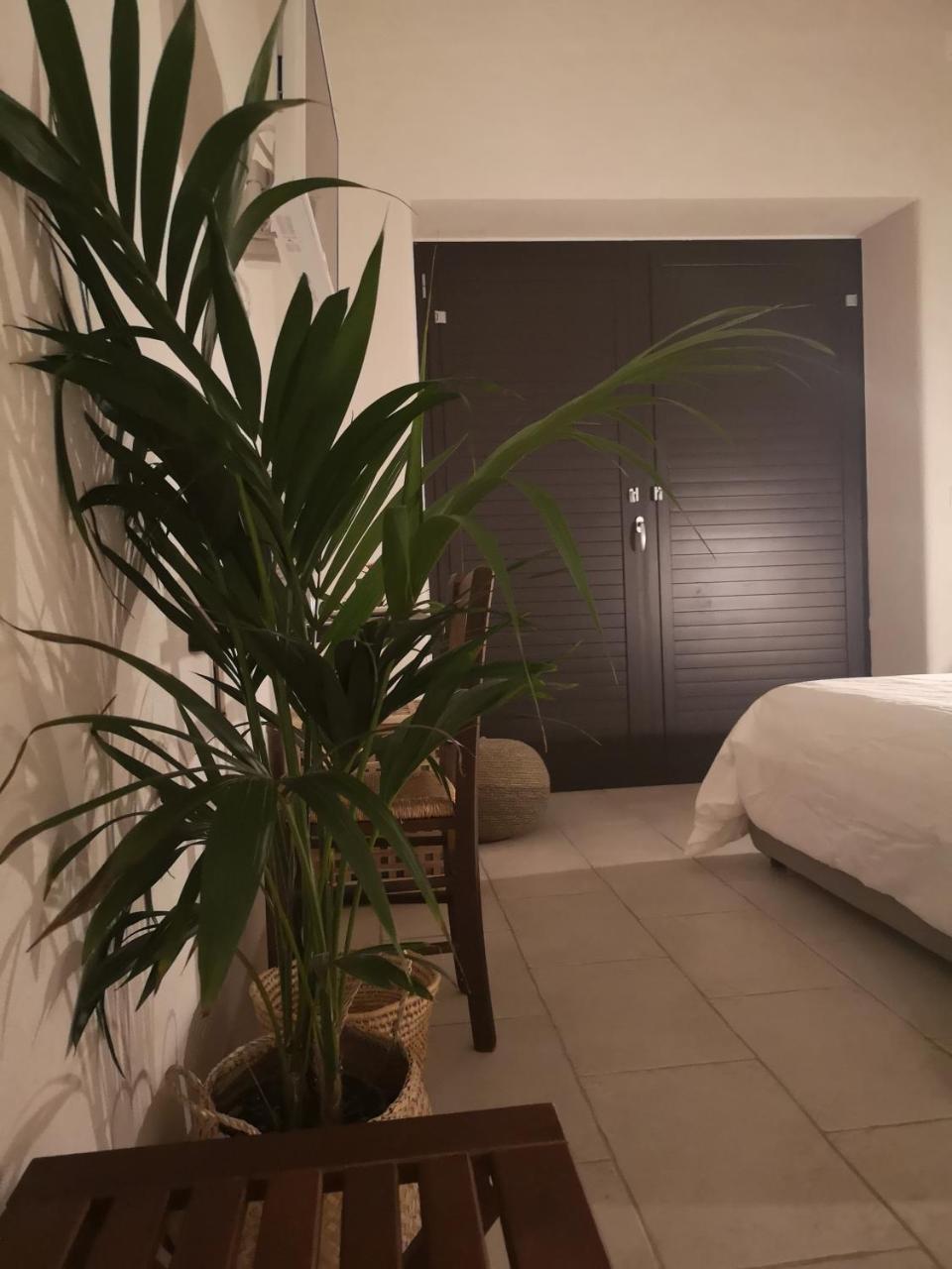 B&B Villa Rosalia 普罗奇达 外观 照片