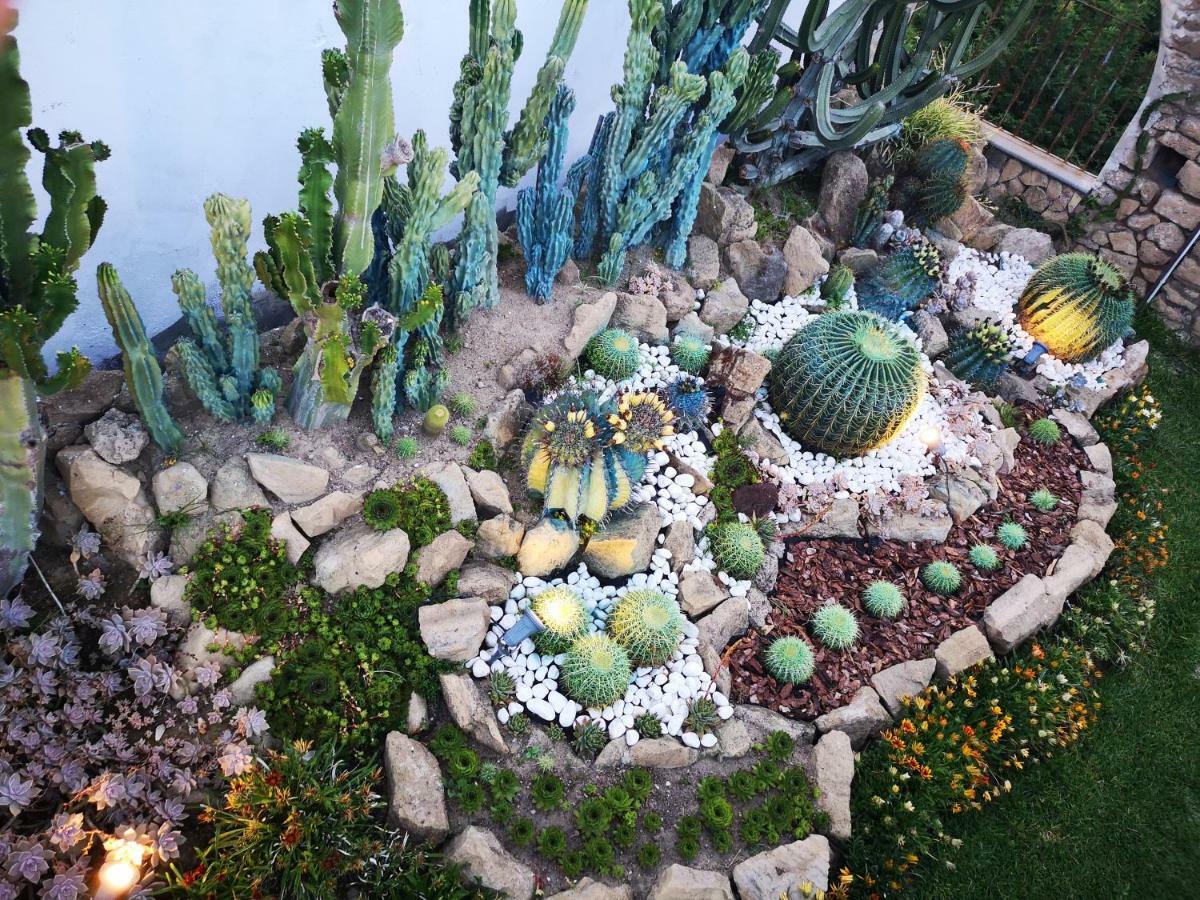B&B Villa Rosalia 普罗奇达 外观 照片
